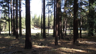 Enlarge photo 27