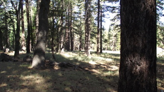 Enlarge photo 24