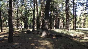 Enlarge photo 21