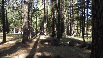 Enlarge photo 31