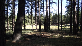 Enlarge photo 30