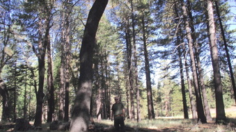 Enlarge photo 33