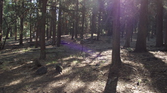 Enlarge photo 8