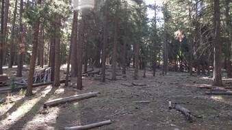 Enlarge photo 17