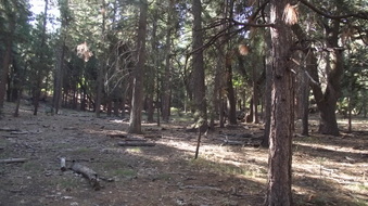 Enlarge photo 20
