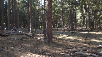 Enlarge photo 4