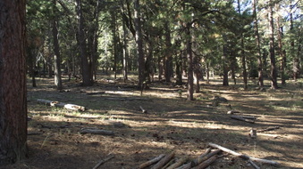 CAMP TAHQUITZ