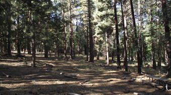 Enlarge photo 29