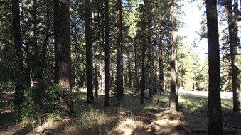Enlarge photo 32