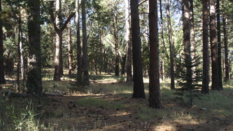 Enlarge photo 10