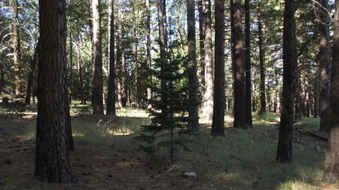Enlarge photo 3