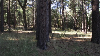 Enlarge photo 11