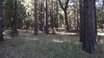 Enlarge photo 18