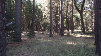 Enlarge photo 19