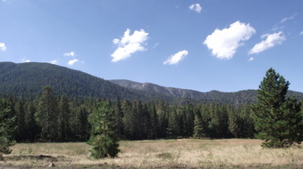 Enlarge photo 49