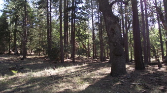 Enlarge photo 47