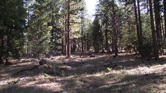 Enlarge photo 37