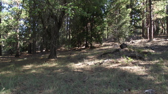 Enlarge photo 40