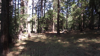 Enlarge photo 43