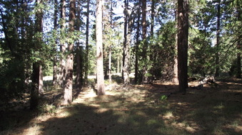 Enlarge photo 42