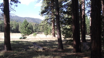 Enlarge photo 57