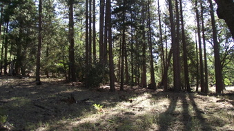 Enlarge photo 38