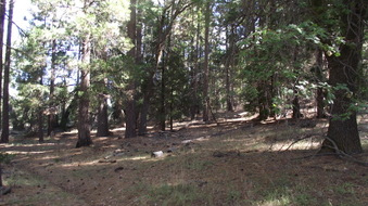 Enlarge photo 39