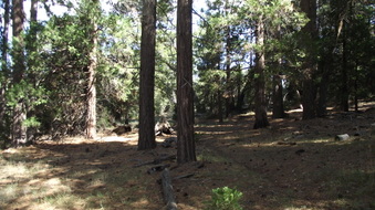 Enlarge photo 44