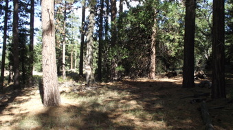 Enlarge photo 41