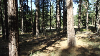 Enlarge photo 51