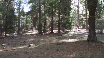 Enlarge photo 50