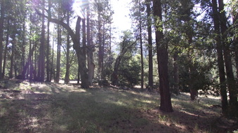 Enlarge photo 45