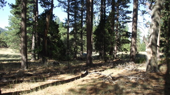 Enlarge photo 48