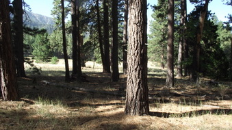Enlarge photo 53