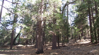 Enlarge photo 52
