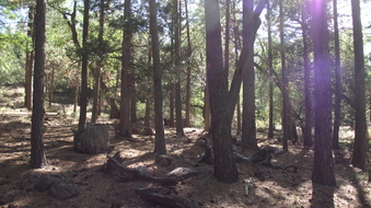 Enlarge photo 55