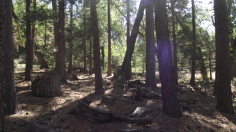 Enlarge photo 56