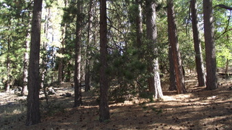 Enlarge photo 59