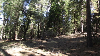 Enlarge photo 58