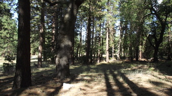 Enlarge photo 54