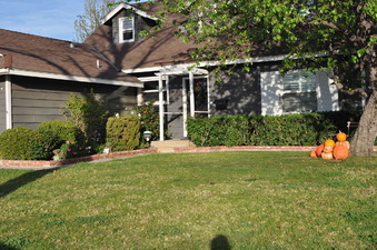 Enlarge photo 5