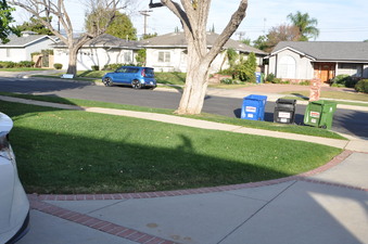 Enlarge photo 19