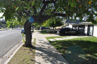 Enlarge photo 10