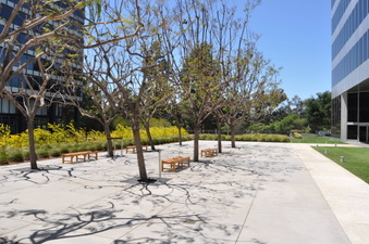 Enlarge photo 26