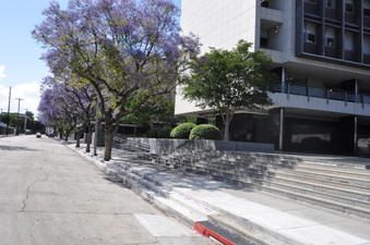 Enlarge photo 27