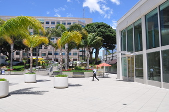 Enlarge photo 10