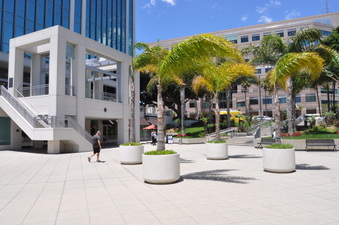 Enlarge photo 11