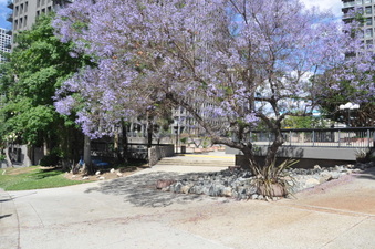 Enlarge photo 12