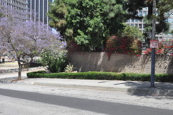 Enlarge photo 19