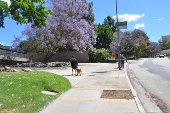 Enlarge photo 24